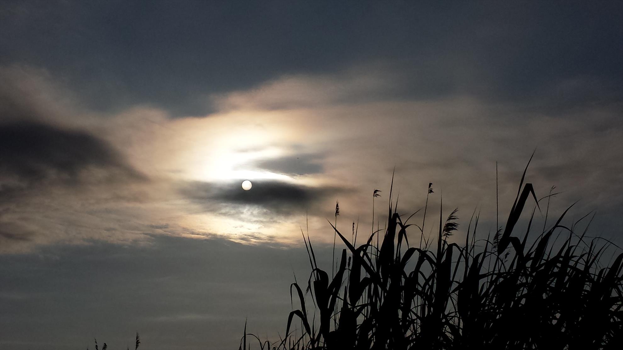 Lupsanu 1 11 mai 2014 - 20140511072326.jpg